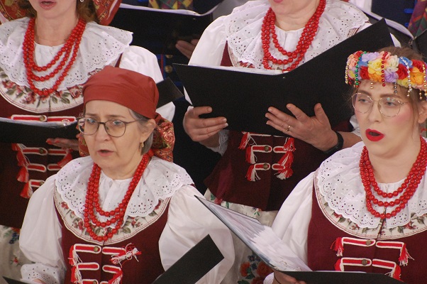 DSC 0223s