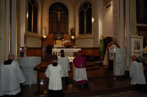 DSC 0252