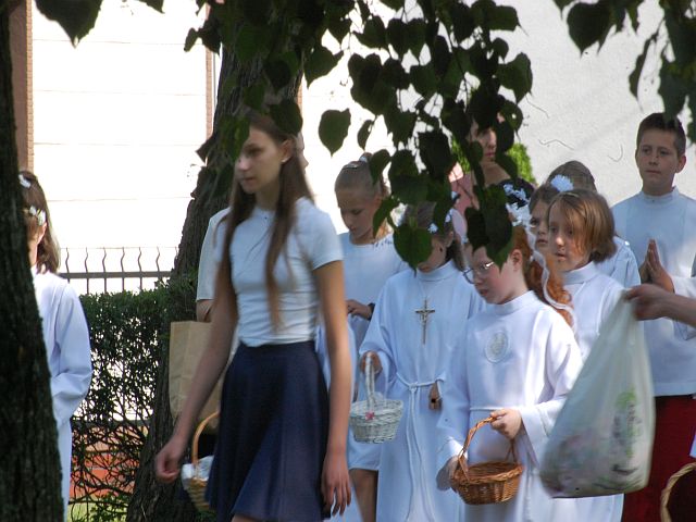 DSC 0520